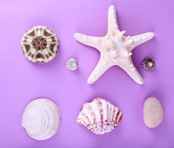 Recuerdos naturales del mar — Foto de Stock