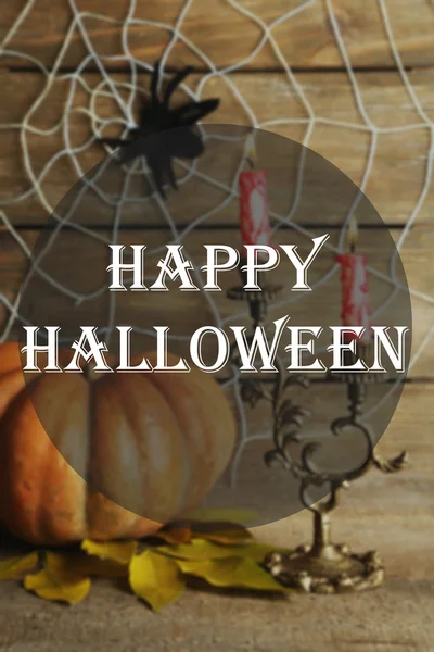 Dekoracji Halloween z pająk na www — Zdjęcie stockowe