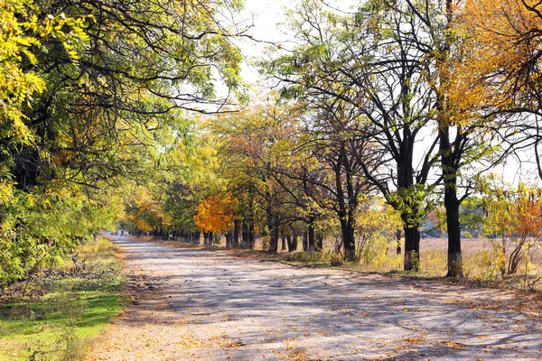 Schöner Herbstpark — Stockfoto