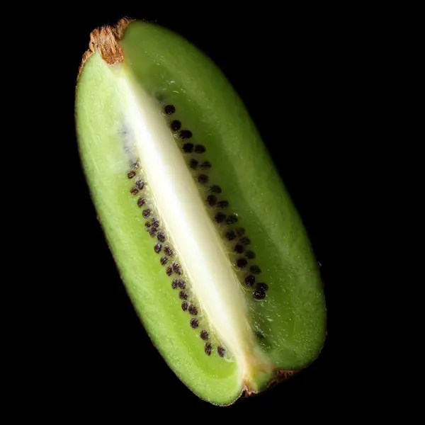 Kiwi-Scheibe — Stockfoto