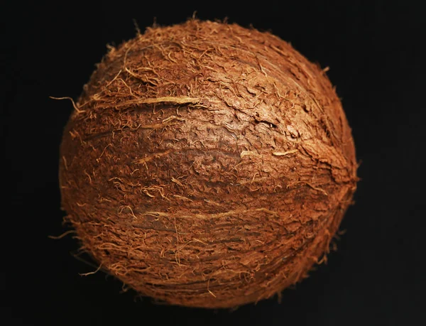 Свіжий кокос — стокове фото
