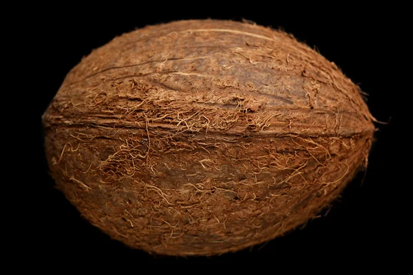 Fresh coconut — Stock Photo, Image