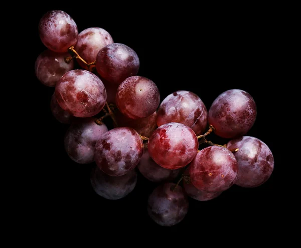 Zralé hroznové víno — Stock fotografie
