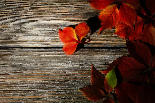 Sonbahar yaprakları kahverengi ahşap zemin üzerinde — Stok fotoğraf