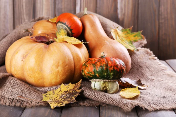 Pumpkins on sackcloth — Stock Photo, Image