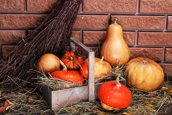 Pumpkins in wooden box — Stock Photo, Image