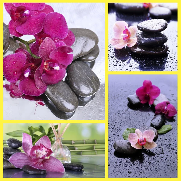 Wellness stones collage — Stockfoto