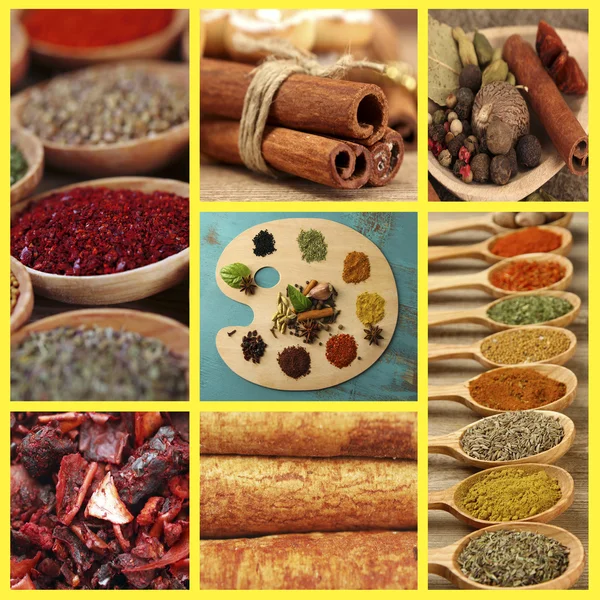 Collage of different spices — Stock Photo, Image
