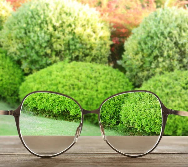 Concetto di visione. Occhiali su sfondo verde lussureggiante cespugli — Foto Stock