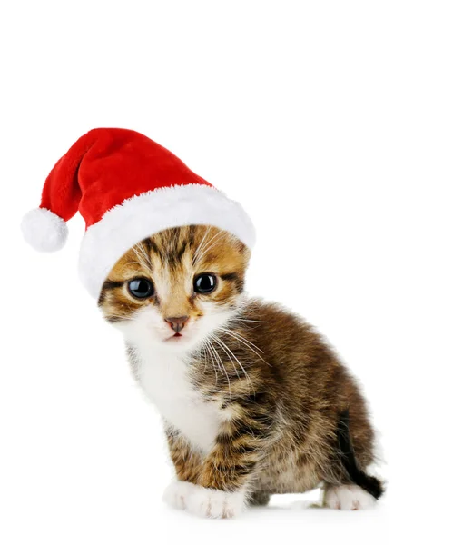 Niedliche Kätzchen in Weihnachtsmann Hut isoliert auf weiß — Stockfoto