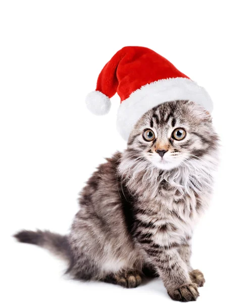 Bellissimo gattino in cappello Babbo Natale isolato su bianco — Foto Stock