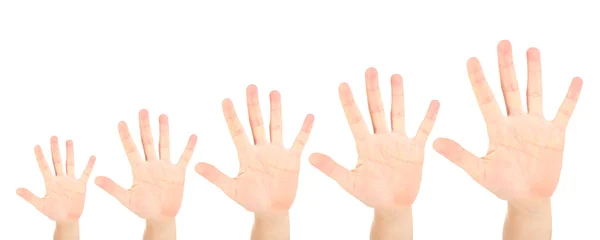 People's hands isolated on white — Stock Photo, Image