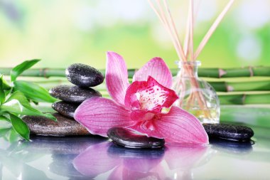 Spa stones, sticks, bamboo branches