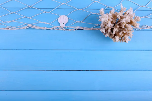 Decoração de conchas close-up em mesa de madeira azul — Fotografia de Stock