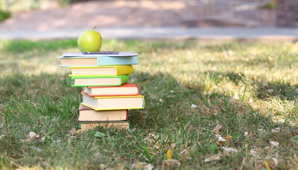 Stacked books in grass, outside — Stock Photo, Image