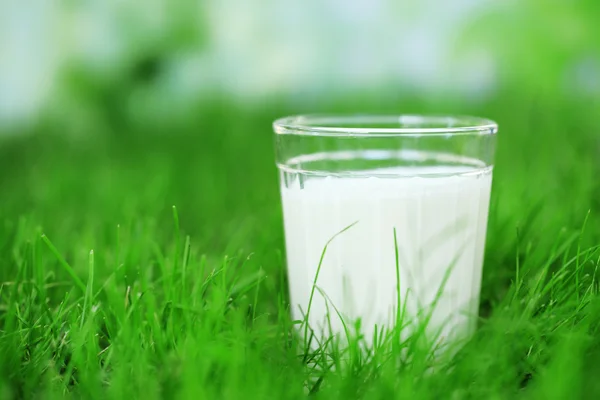 Milch im Glas auf Gras — Stockfoto