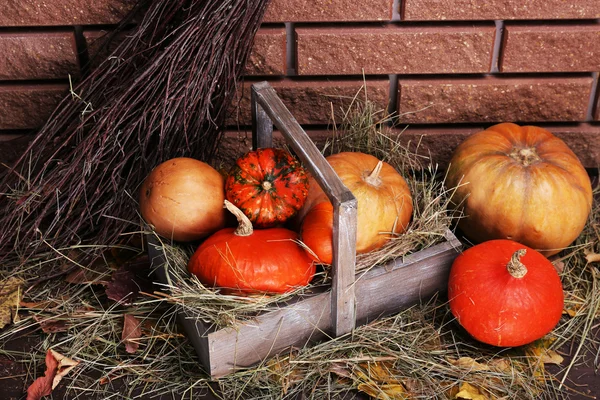 Pompoenen in houten kist — Stockfoto