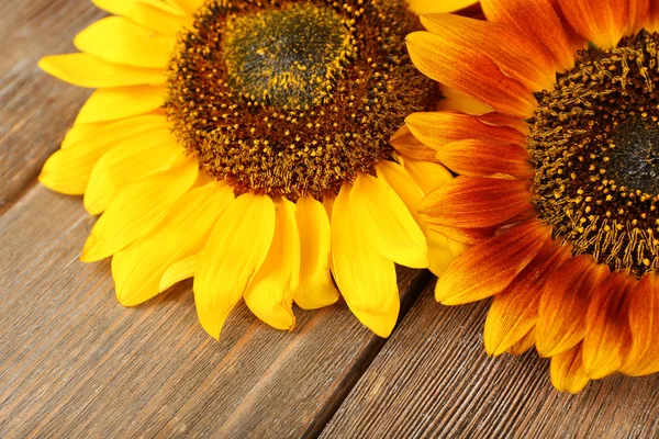 Hermosos girasoles sobre fondo de madera — Foto de Stock