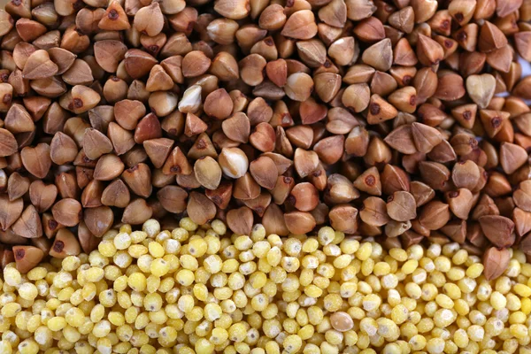 Millet and buckwheat as background — Stock Photo, Image