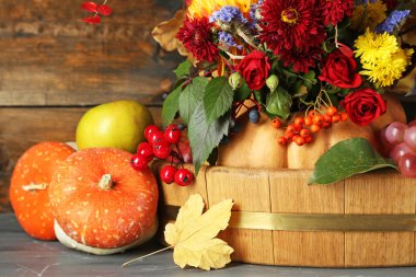 güzel sonbahar kompozisyon