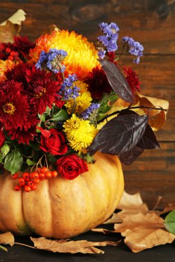 güzel sonbahar kompozisyon