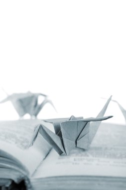 Origami Vinçler eski kitap