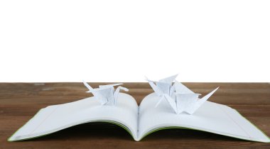 Origami Vinçler dizüstü