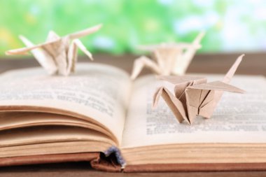Origami Vinçler eski kitap