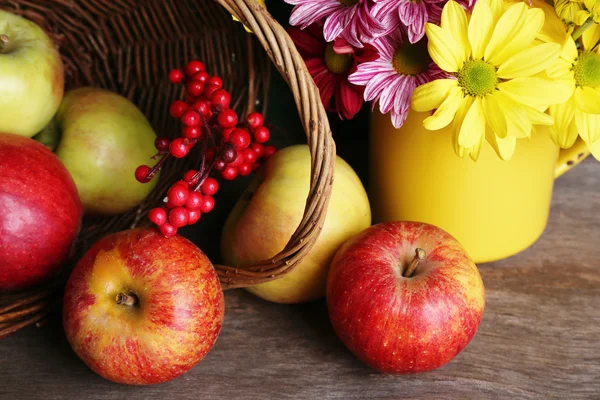 Schöne Chrysantheme mit Äpfeln im Korb auf Holzgrund — Stockfoto