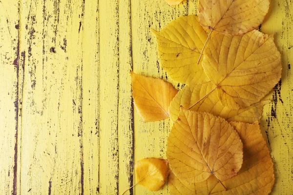 Hojas sobre fondo de madera amarillo —  Fotos de Stock