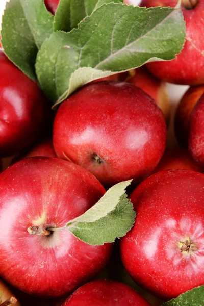 Ripe red apples — Stock Photo, Image