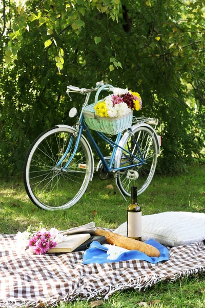 Vecchia bicicletta e spuntino picnic su coperta a scacchi su erba nel parco — Foto Stock