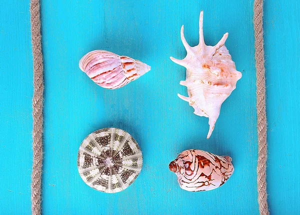 Sea souvenirs on blue background — Stock Photo, Image