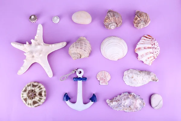 Sea souvenirs on purple background — Stock Photo, Image