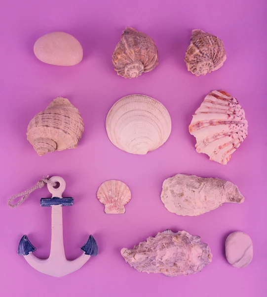 Zee souvenirs op roze achtergrond — Stockfoto