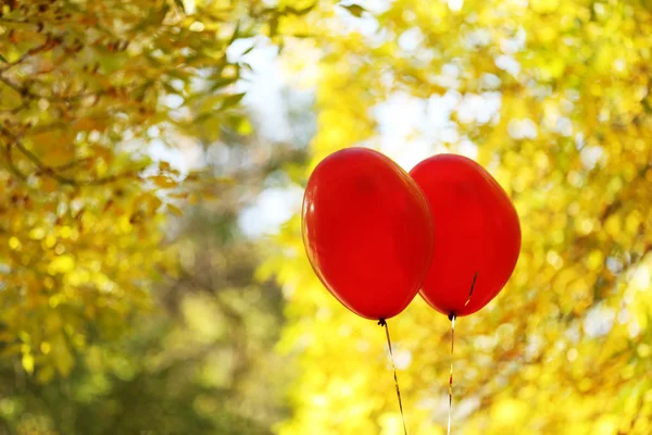 Amor corazón globos —  Fotos de Stock