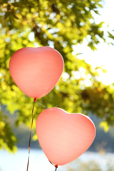 Amour coeur ballons — Photo