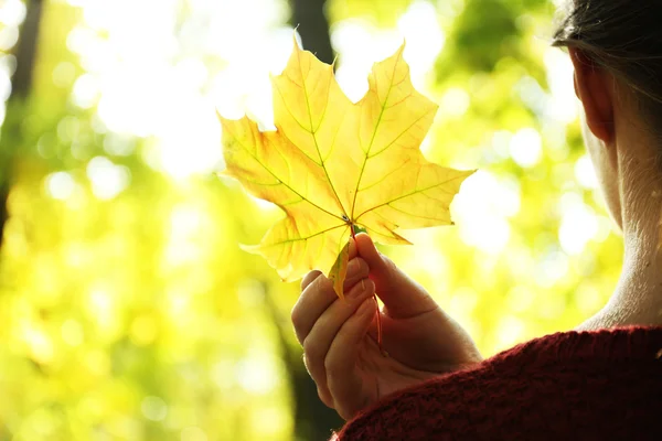 Herfst blad in de hand — Stockfoto