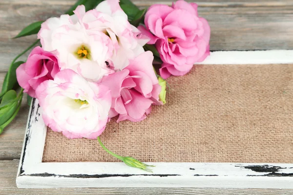 Beautiful eustoma flowers — Stock Photo, Image