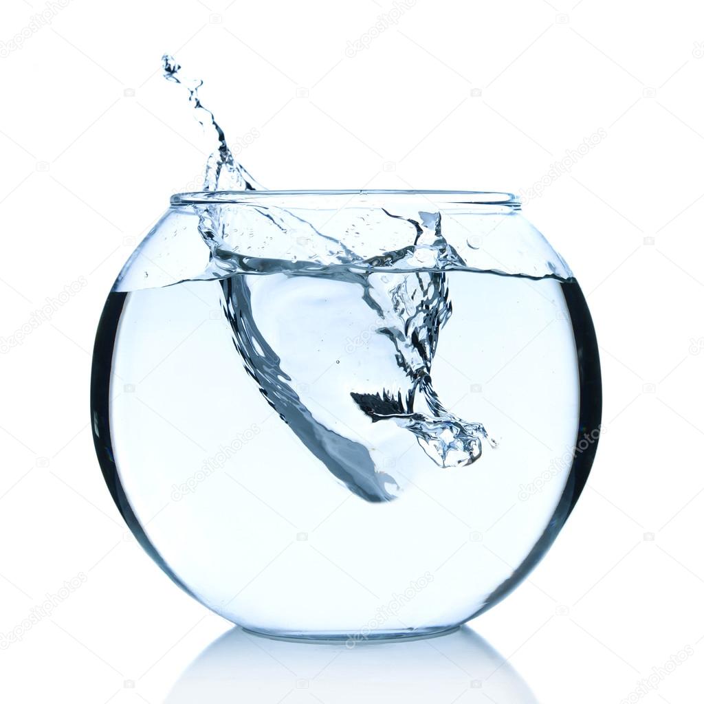 Fish bowl with water Stock Photo by ©belchonock 57584567