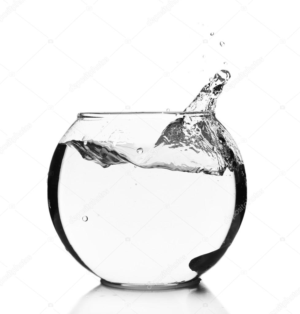 Fish bowl with water — Stock Photo © belchonock 57584599