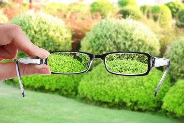 Glasses in hand on green bushes
