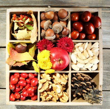 Dekoratif kutusunda sonbahar kompozisyon