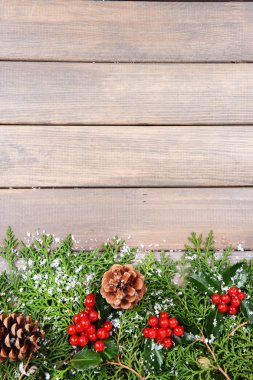 Noel sınırdan köknar ve ökse otu