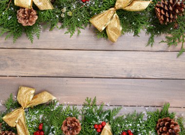 Noel sınırdan köknar ve ökse otu