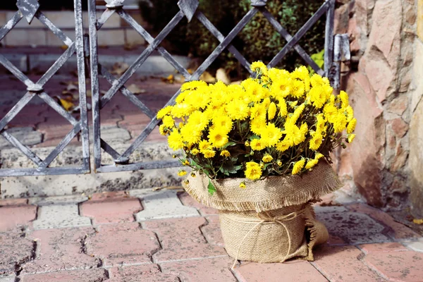 Fleurs en pot — Photo