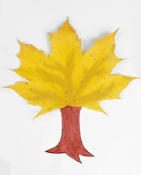 Feuilles d'automne avec arbre peint — Photo