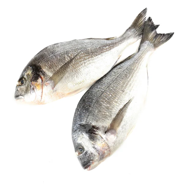 Риба свіжа Дорадо — стокове фото