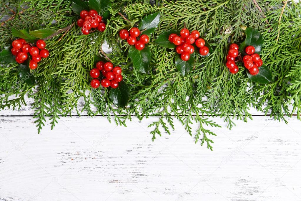 Christmas border from fir and mistletoe