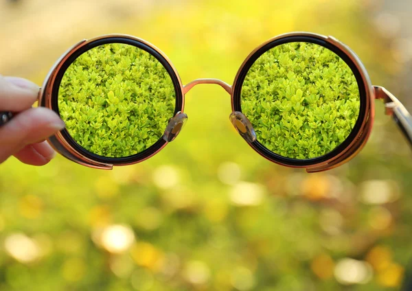 Concepto de visión. Gafas en mano sobre fondo de hierba verde —  Fotos de Stock